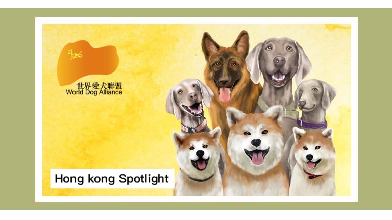 World Dog Alliance Donates to an Animal Shelter - 世界愛犬聯盟